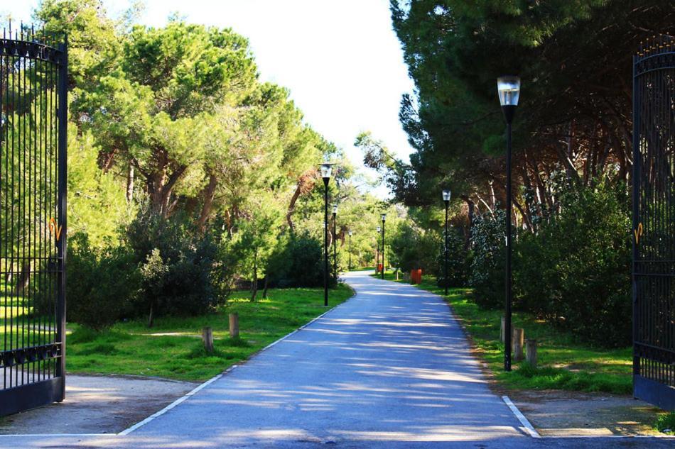 Bed and Breakfast Carducci 83 Pescara Exterior foto